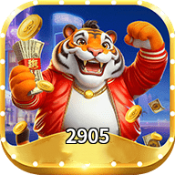 Imagem promocional da 2905 mostrando a plataforma e suas vantagens